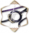Monocle de visée