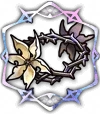 Couronne d'épines de la sorcière